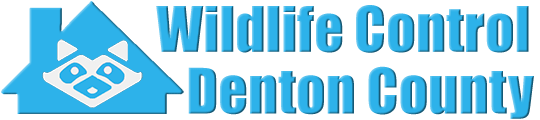 Denton County Wildlife and Animal Removal